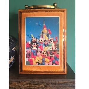 Wooden Plaque of Cinderella's Castle with all of your Favorite Characters-1984